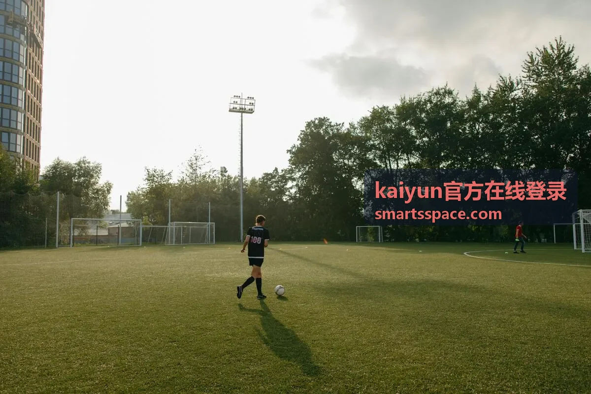 kaiyun官方在线登录 登录验证与异常提示说明