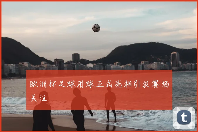 欧洲杯足球用球正式亮相引发赛场关注