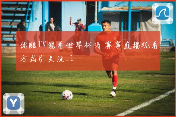 优酷TV能看世界杯吗 赛事直播观看方式引关注_1