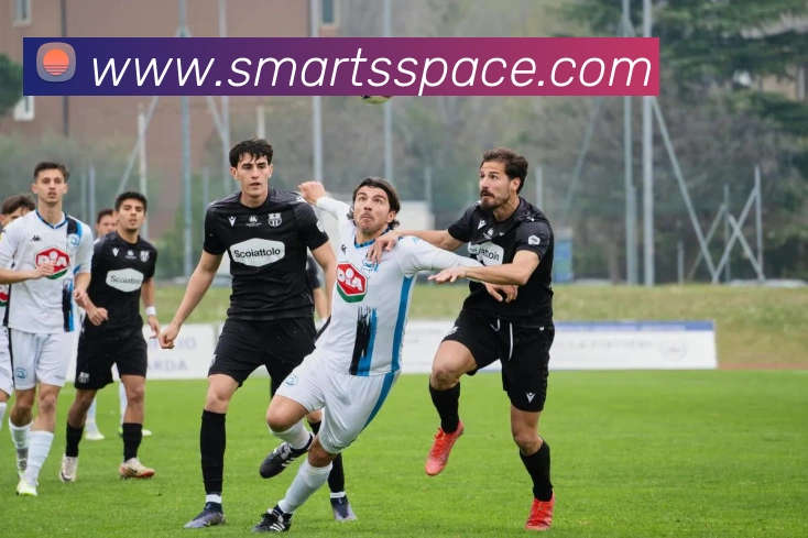 乐竞官方在线登录入口服务体系